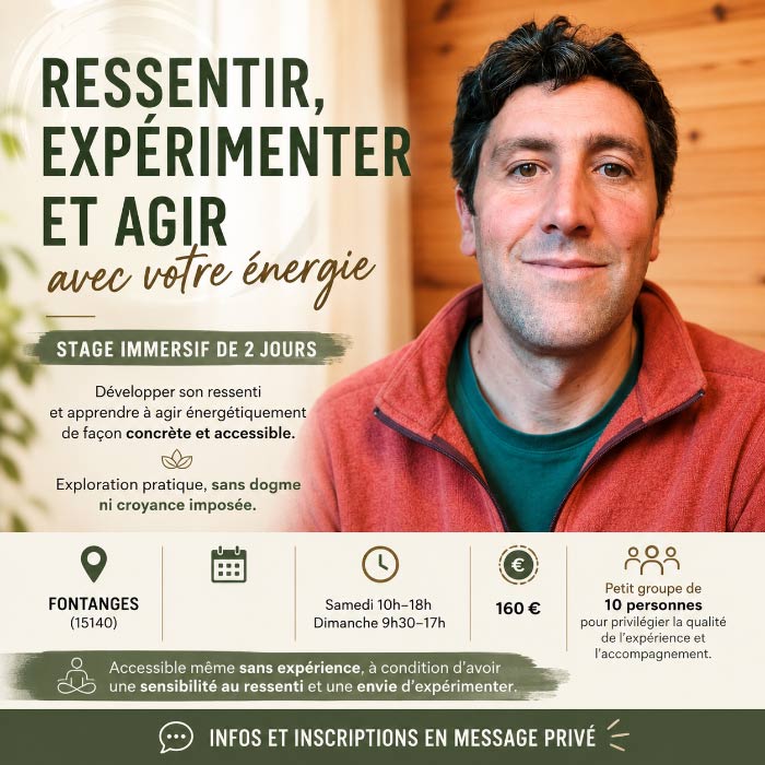 Stage immersif de 2 jours — Ressentir, expérimenter et agir avec votre énergie
